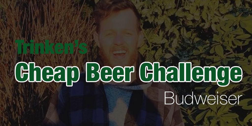 Cheap Beer Challenge🍺Budweiser - Day 4